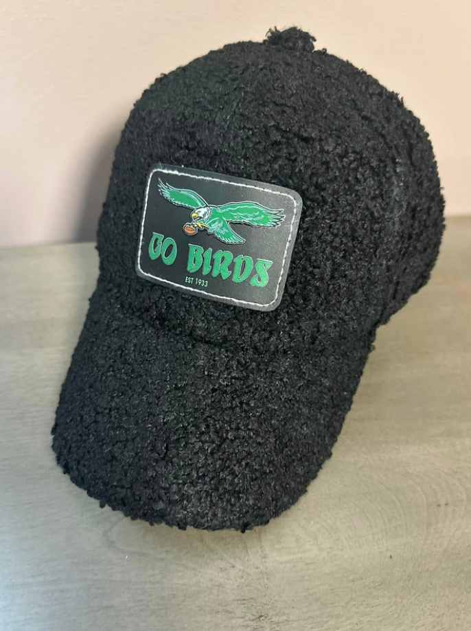 Go Birds Fleece Baseball Cap