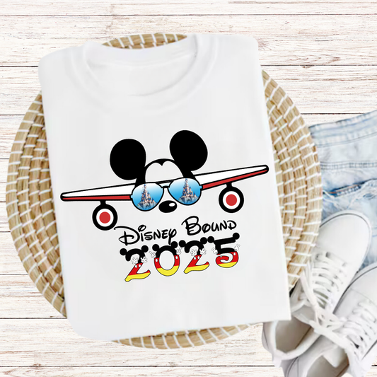 Disney Plane Graphic Tee